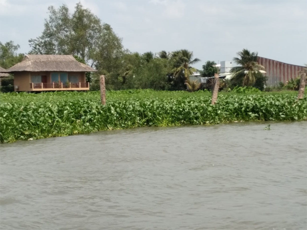 Tiền Giang: Gần 80 cá nhân thuê đất bãi bồi đã “hết hạn” nhiều năm khó giải quyết (20/02/2024)
